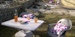 Le jardin
