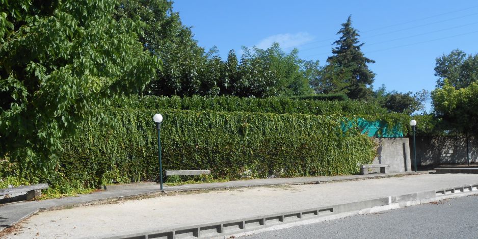 Le jeu de boules
