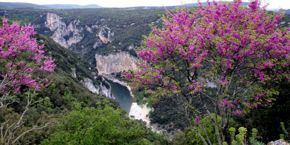 Les Gorges de l'Ardèche