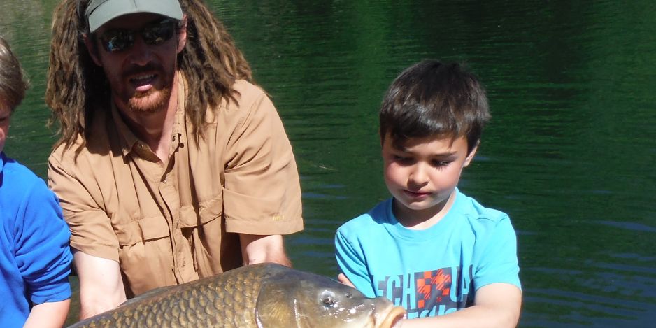 Pêche à la carpe
