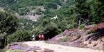 Randonnée au Sentier des Lauzes
