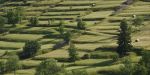 Saison des foins sur le Plateau ardéchois