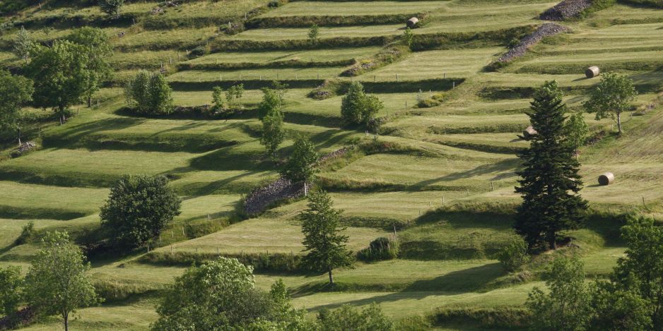 Saison des foins sur le Plateau ardéchois