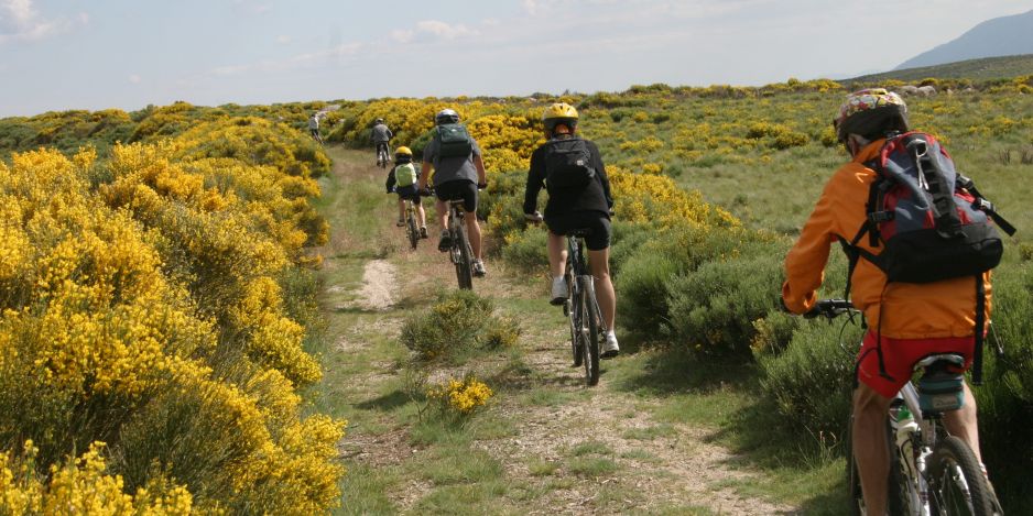 VTT